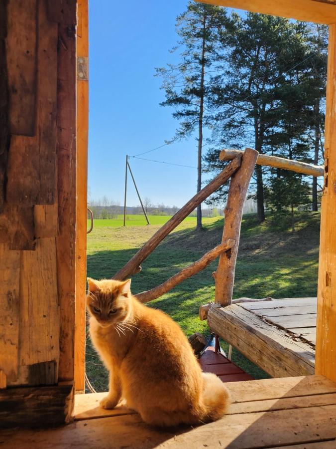 Vila Baltas Raganinas Pirts Sabile Exteriér fotografie